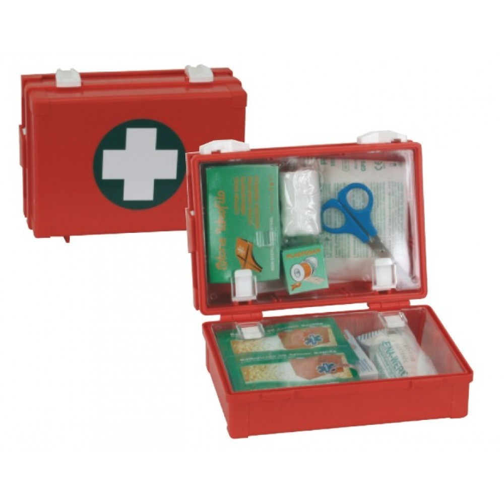 Valigetta Sanitaria Box porta farmaci con maniglia e chiusura a clic per  primo soccorso 33x22xh18cm piu Portapilole in ommaggio